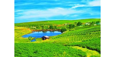 RURAL